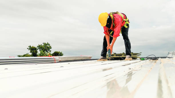 Best Roof Insulation Installation  in Baudette, MN